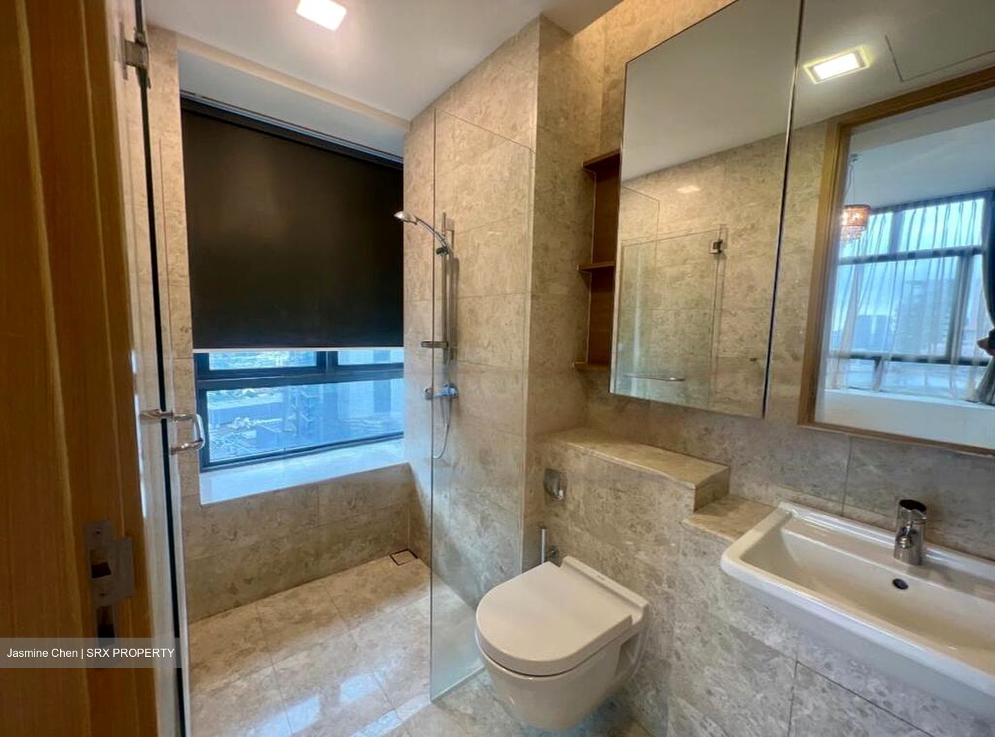 Soleil @ Sinaran (D11), Condominium #475470221